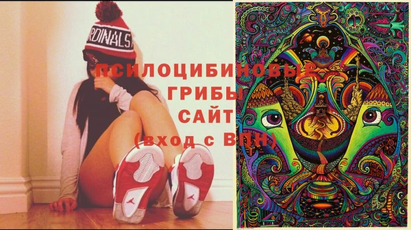 мет Алексеевка